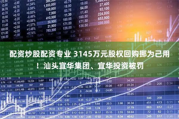 配资炒股配资专业 3145万元股权回购挪为己用！汕头宜华集团、宜华投资被罚