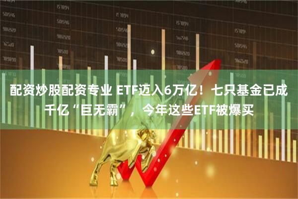 配资炒股配资专业 ETF迈入6万亿！七只基金已成千亿“巨无霸”，今年这些ETF被爆买